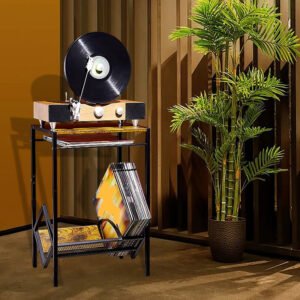record player stand, turntable stand, record player table, wood record player stand, turntable stand with record storage